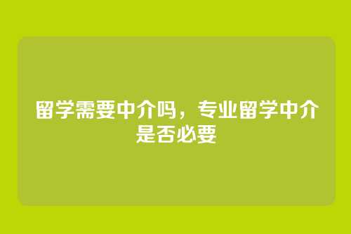 留学需要中介吗,专业留学中介是否必要