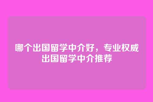 哪个出国留学中介好,专业权威出国留学中介推荐