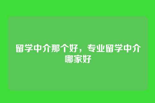 留学中介那个好,专业留学中介哪家好