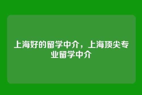 上海好的留学中介,上海顶尖专业留学中介