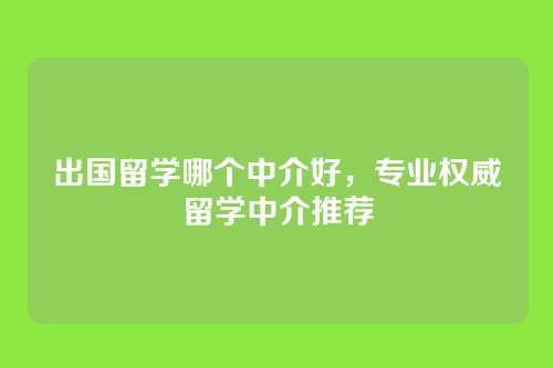 出国留学哪个中介好,专业权威留学中介推荐