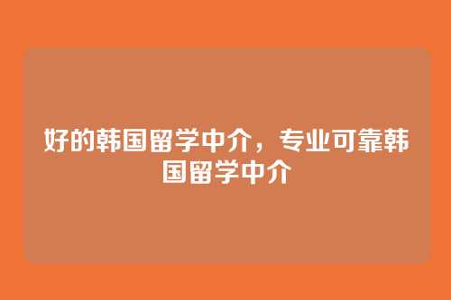 好的韩国留学中介,专业可靠韩国留学中介