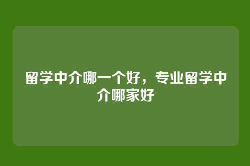 留学中介哪一个好,专业留学中介哪家好
