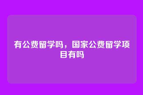 有公费留学吗,国家公费留学项目有吗